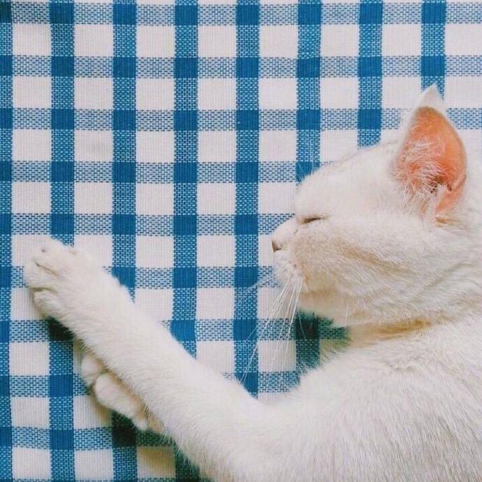 Damao