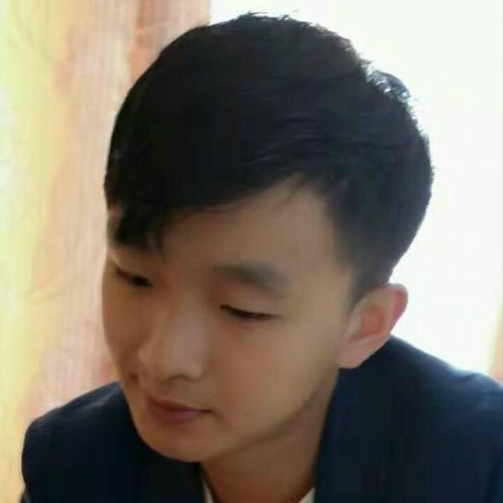 野鹰