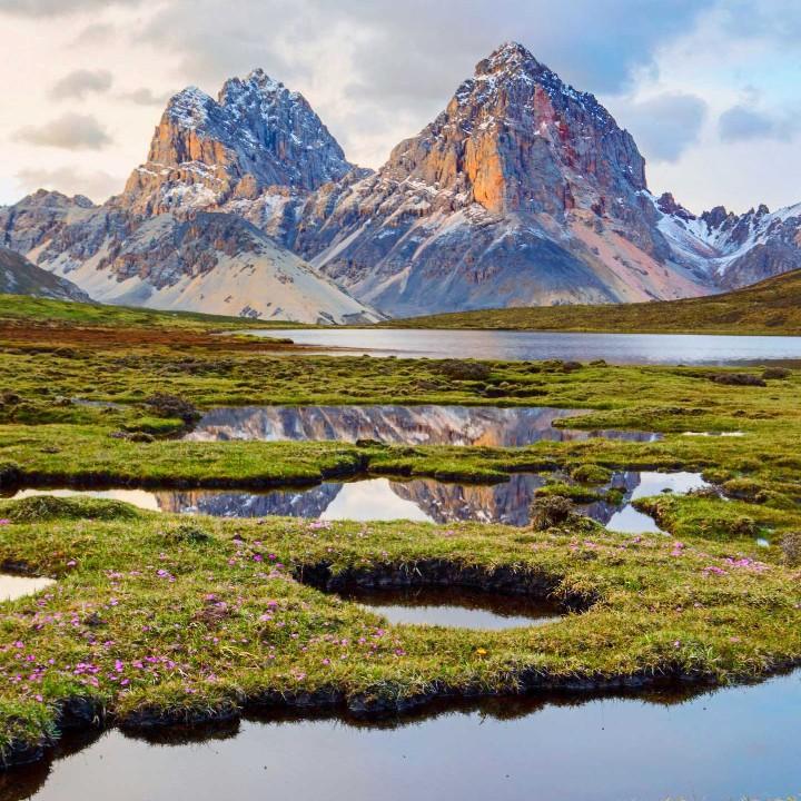 请开始你的表演