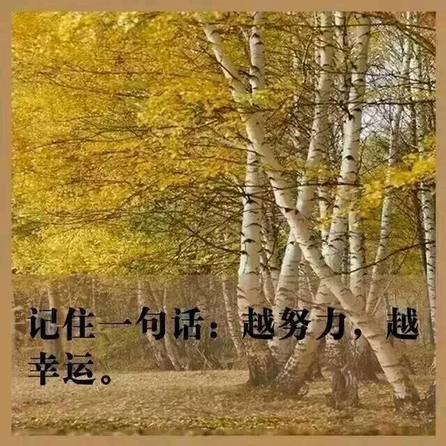 上善