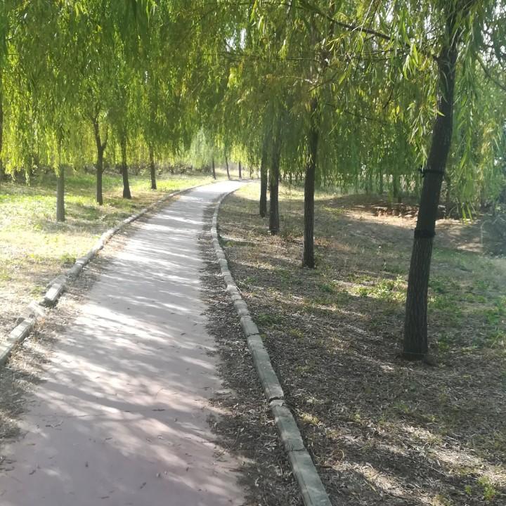 用户6607374832840驿动的心