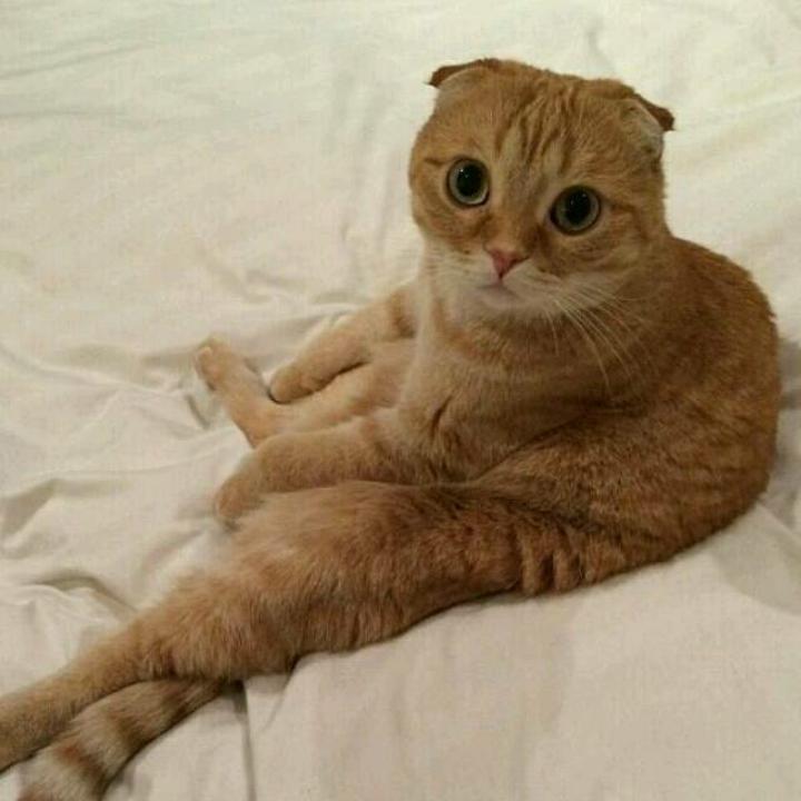 多喝点水