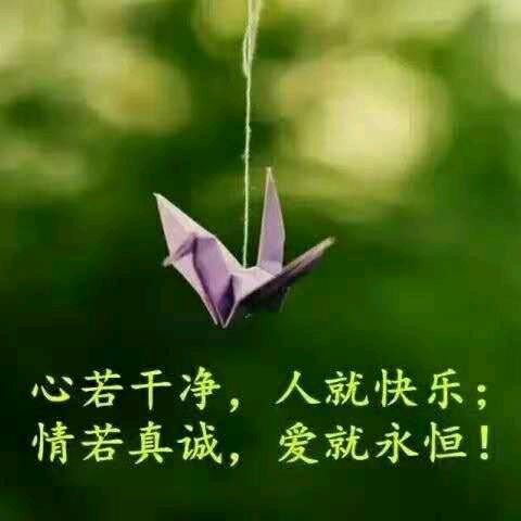 💗᭄善待ᝰᩚ自己ꦿ໌ᮨ