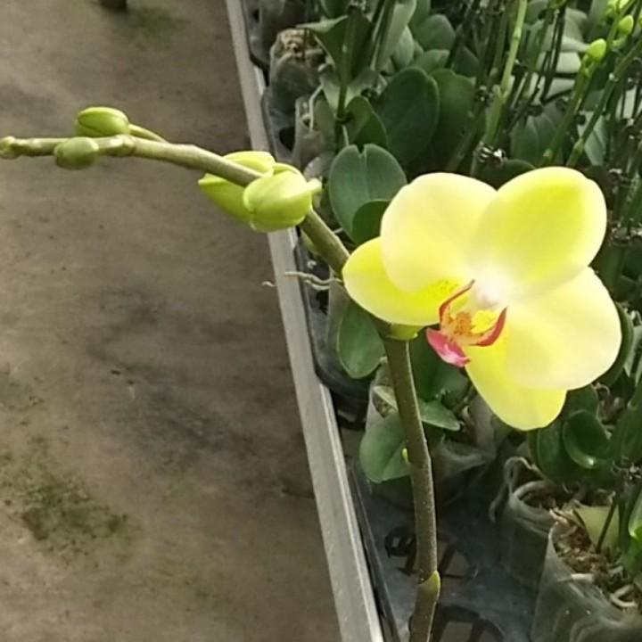 佛山市九玖生物科技有限公司