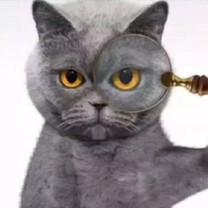 好名字可以让你的朋友更容易记住你