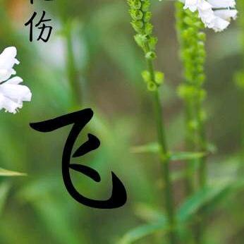 飞向蓝天