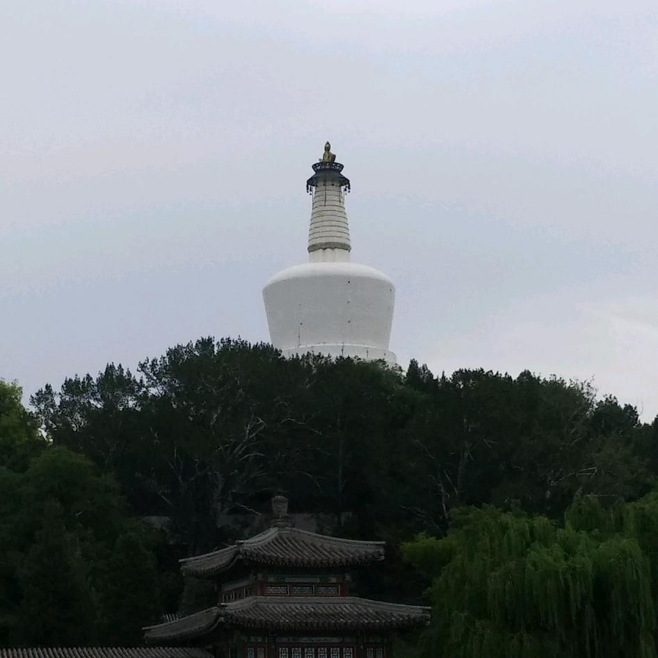 西葫芦炒窝瓜