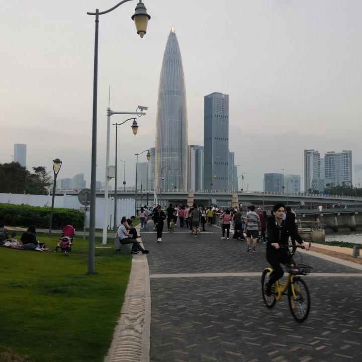 苏