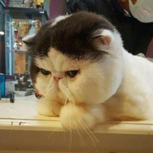 木子慧慧