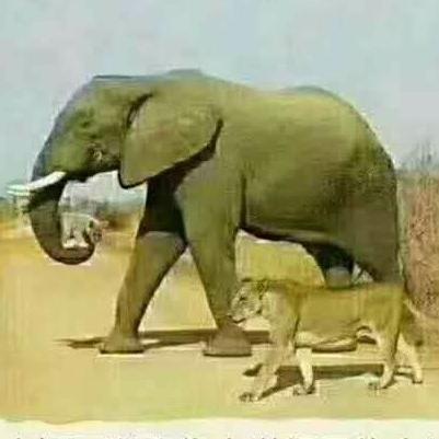 满达