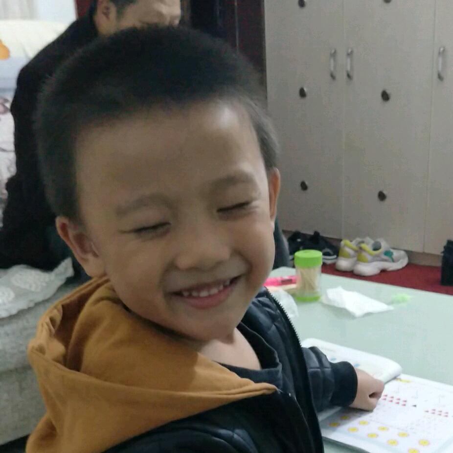 丁丁猫