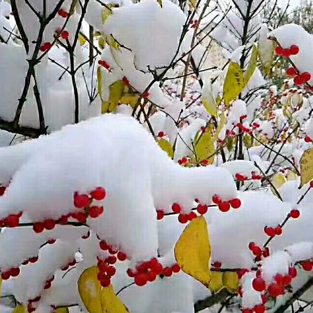 乐嘉装饰（㐅夵）