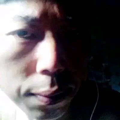 杨歌