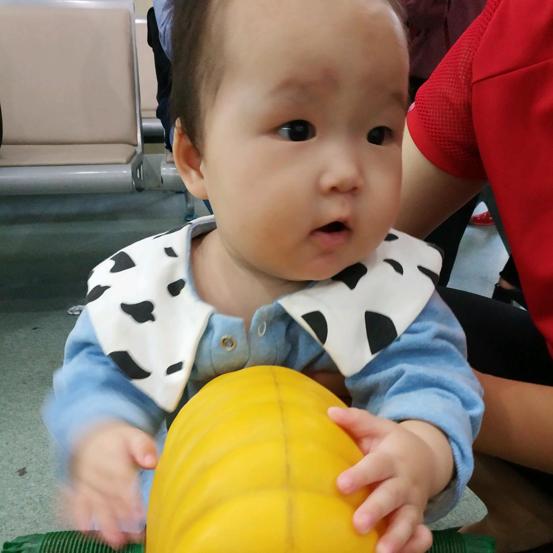 木易杨