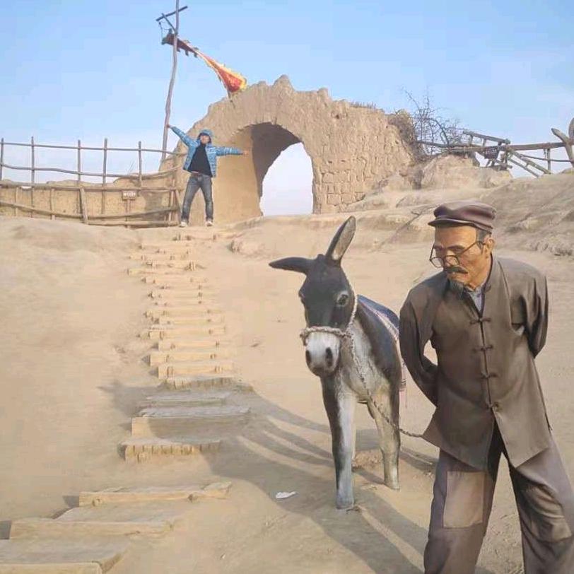 中国小毛驴