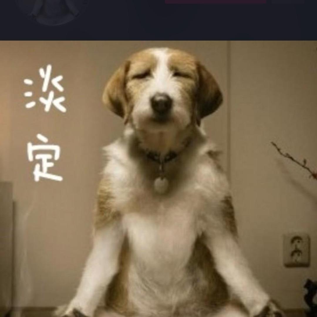 金汇夜市·山东炒菜