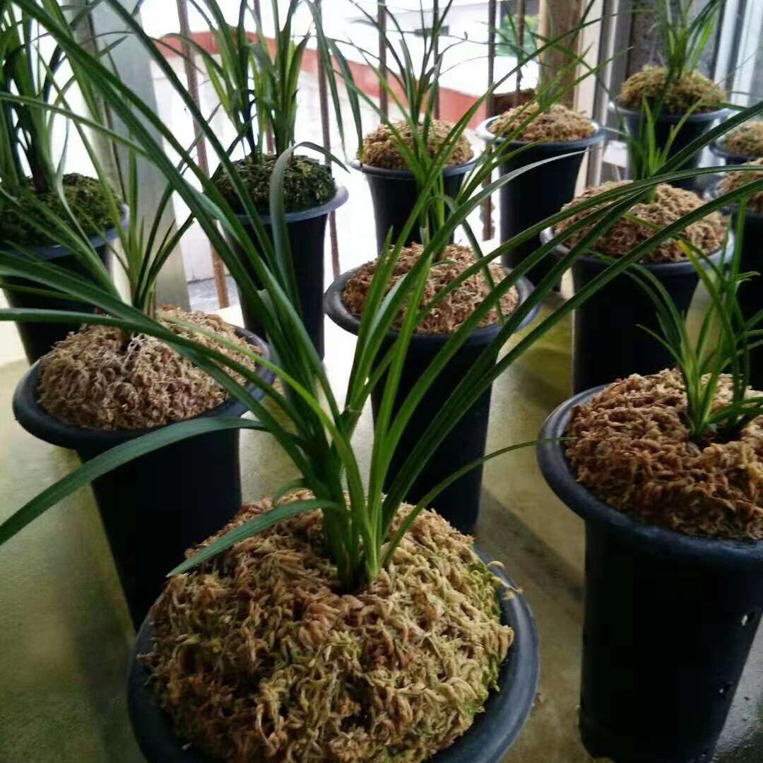 上善若水🌈 🌈 🌈