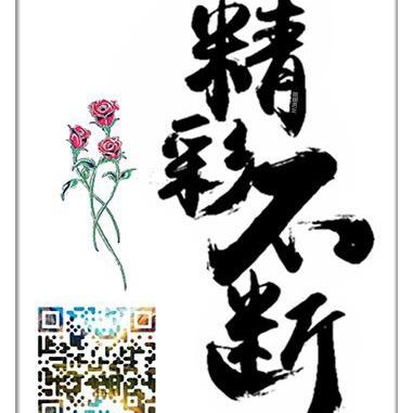 芝加哥小牛