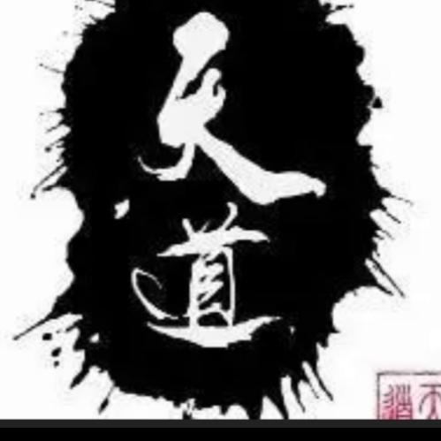 浪人蛋鸭
