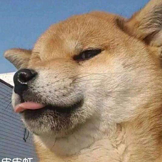 猪刚鬣反光之曦