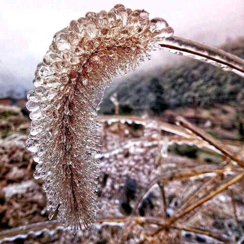 快乐每e天