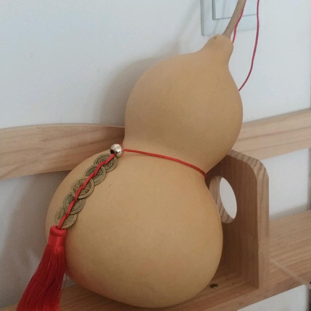 葫芦种植