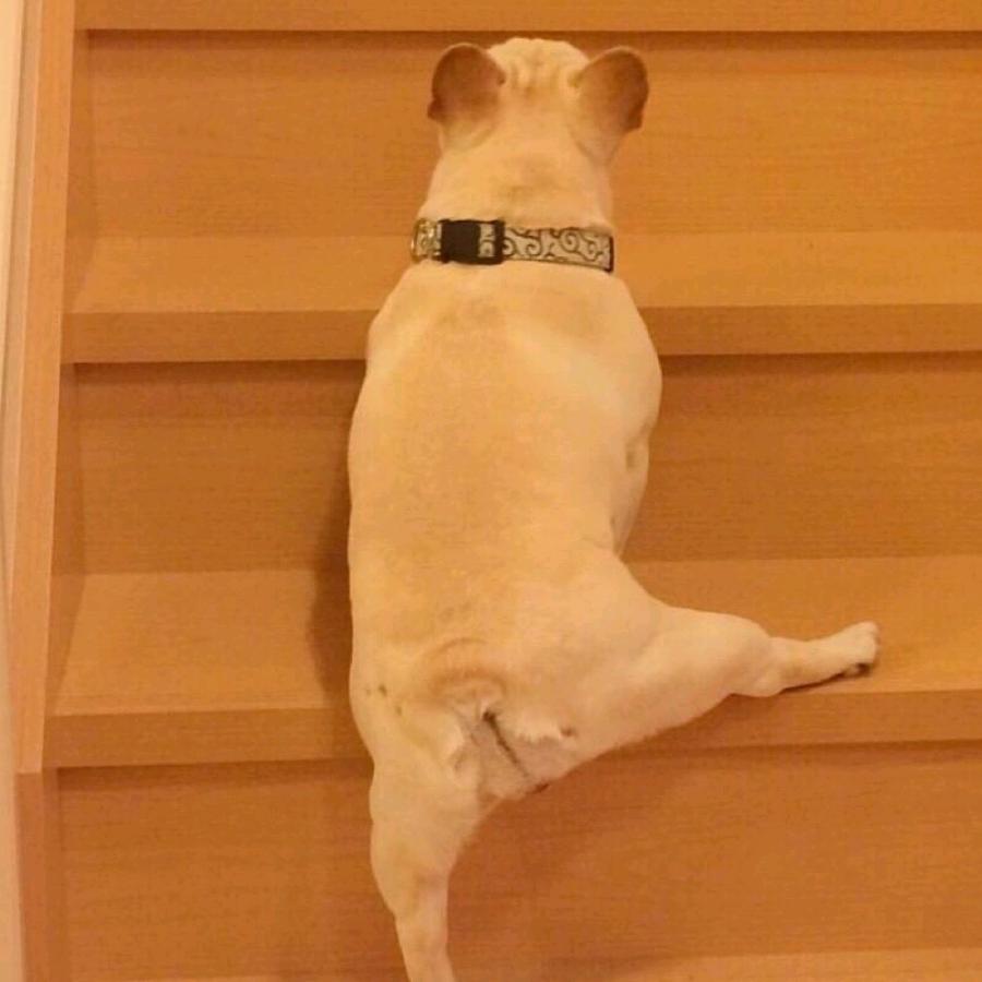 八方来财万事如意平安喜乐前程似锦暴富暴瘦