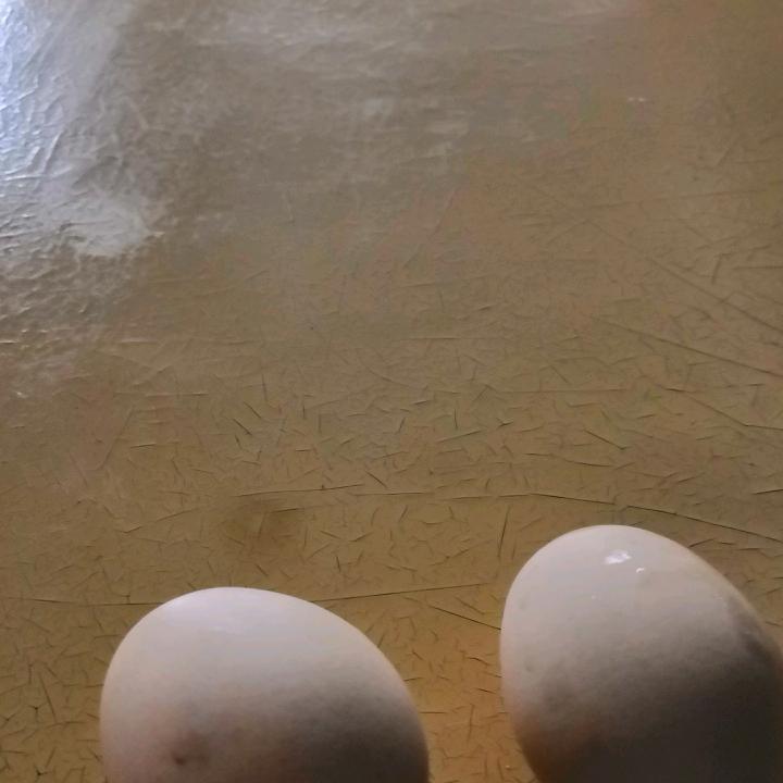 沙丘