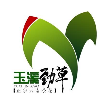 劲草茶花