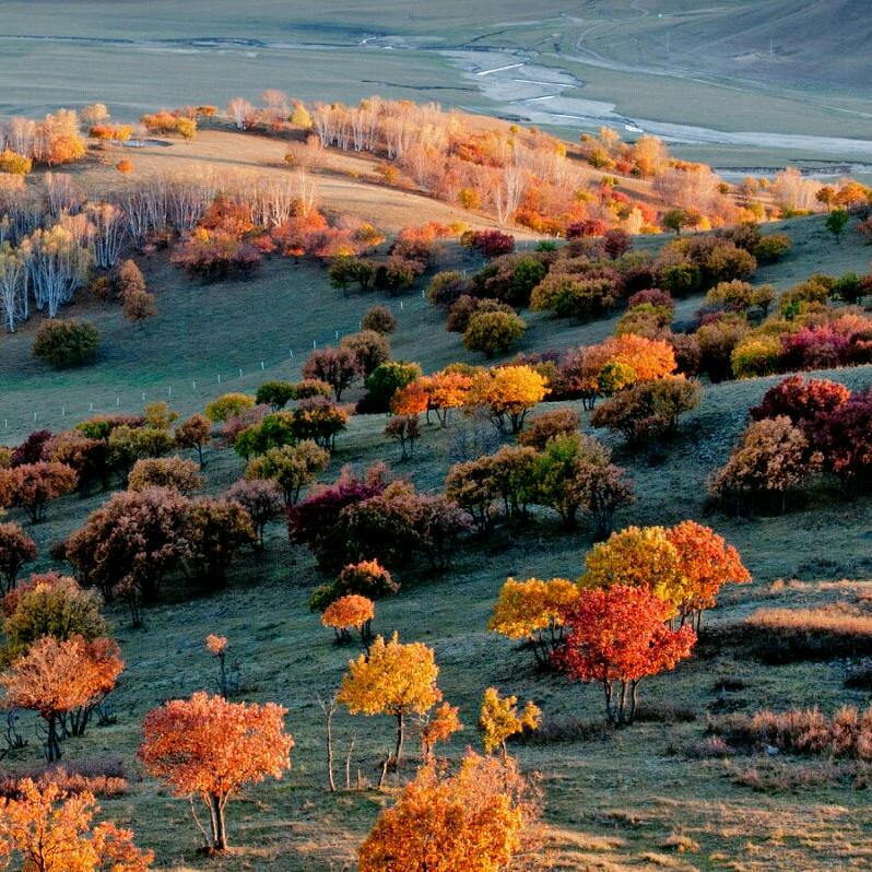 做时间的朋友99