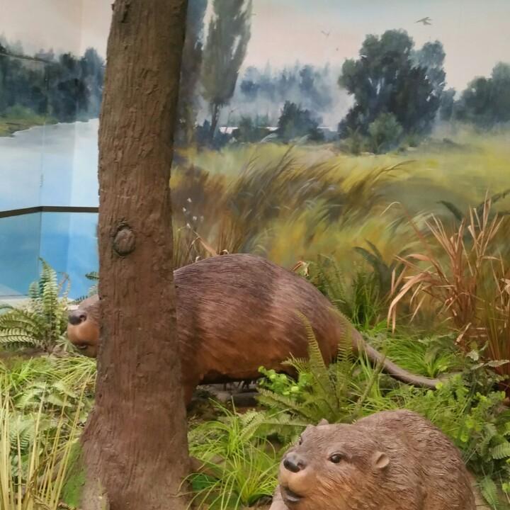 五河168快捷宾馆