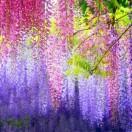 💫茂茂的哥哥💫