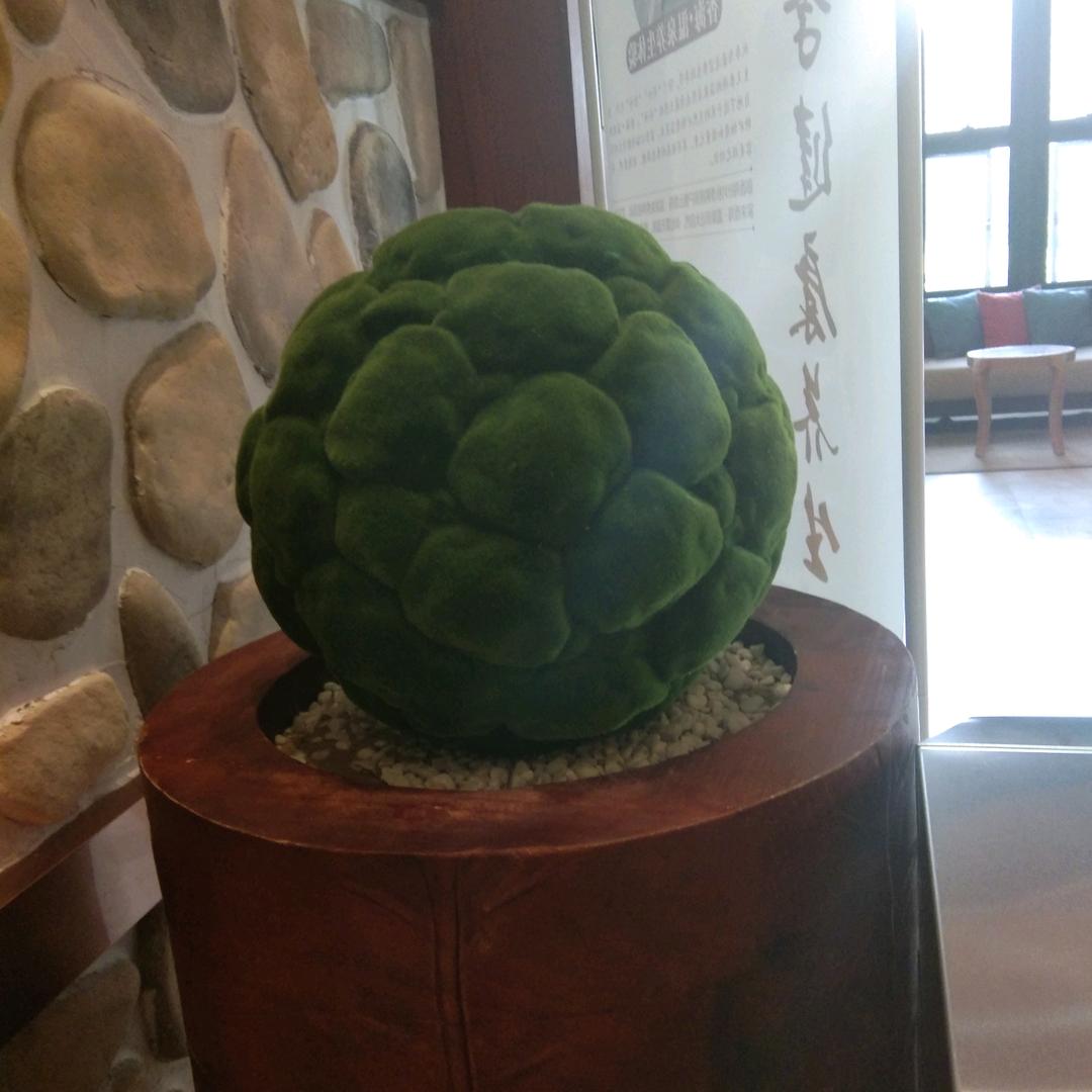 樱桃小丸子