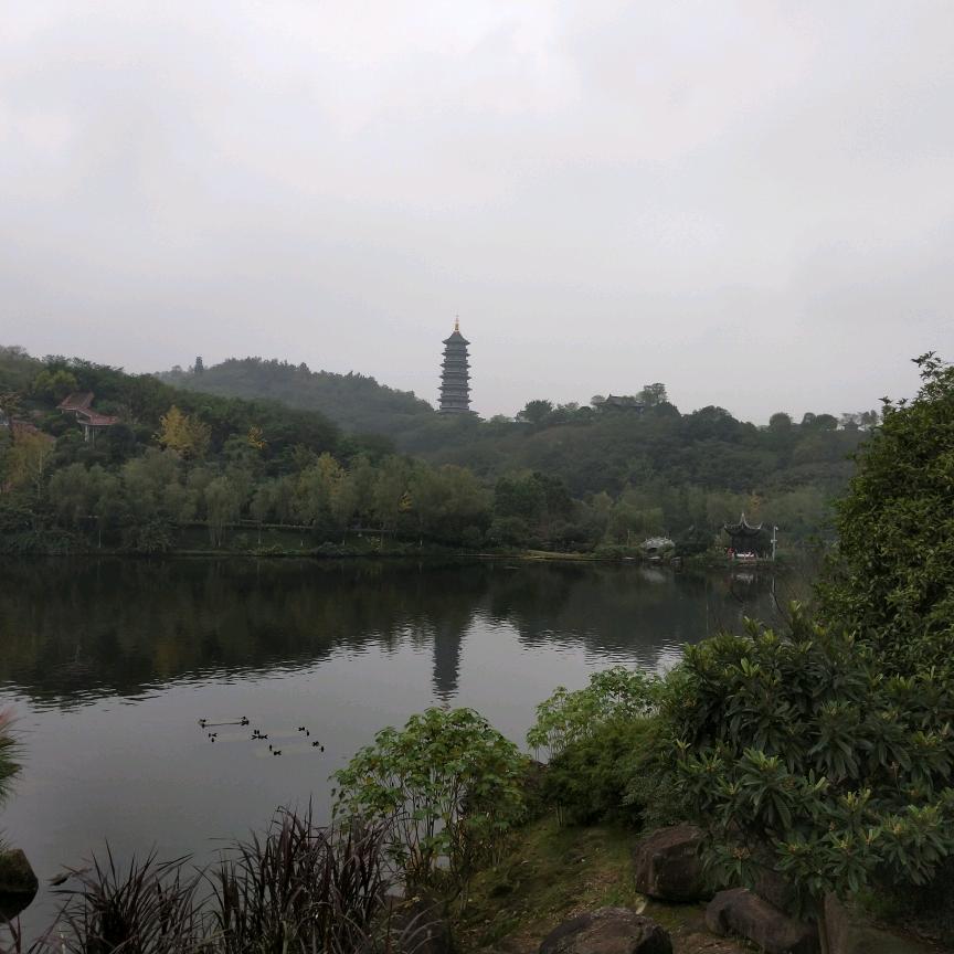 黎明曙光