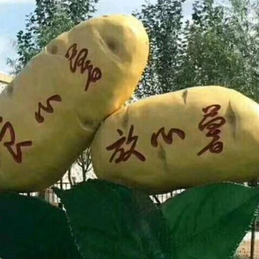 土豆，土豆。我叫地瓜