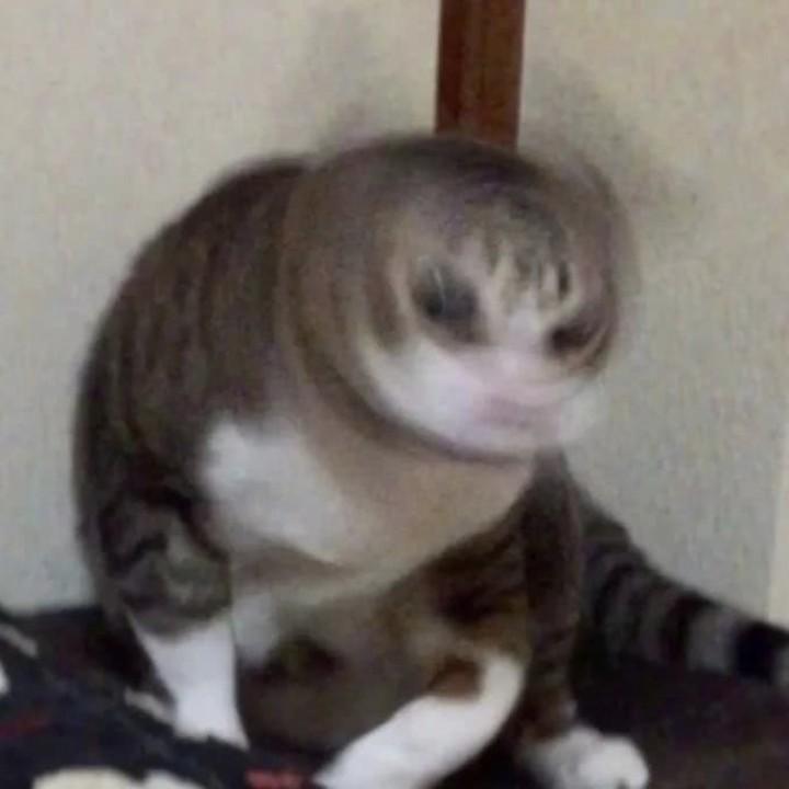ykxxxxx