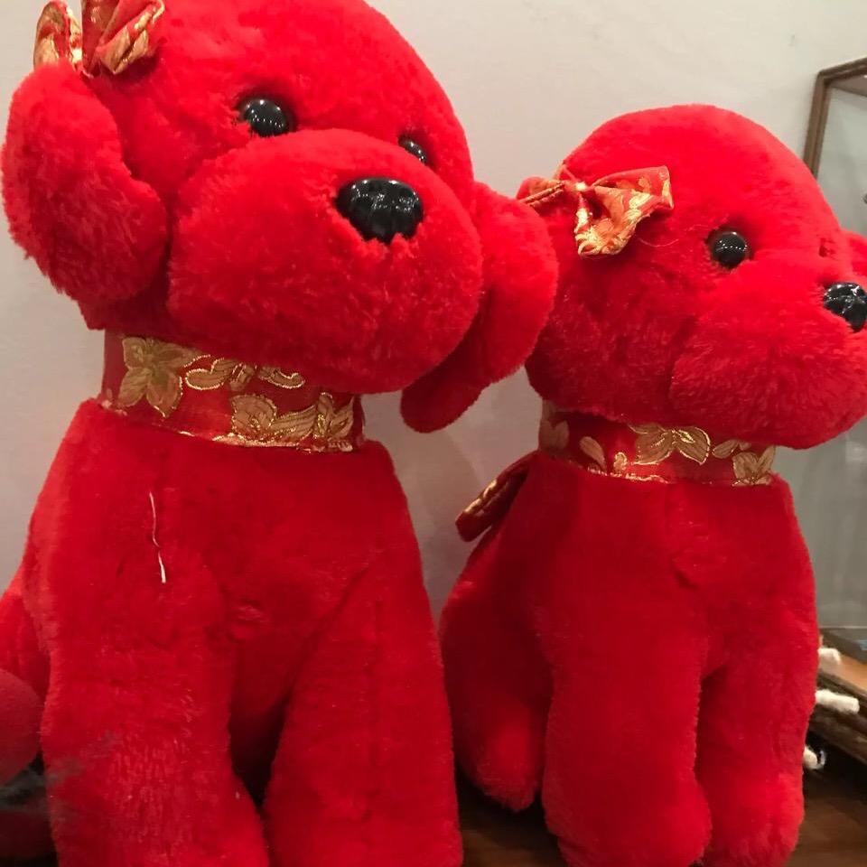 小小七
