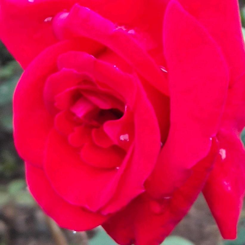 笑着说(つ﹏<。)再见