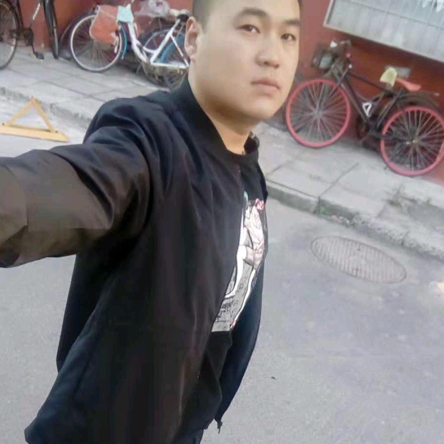 龙