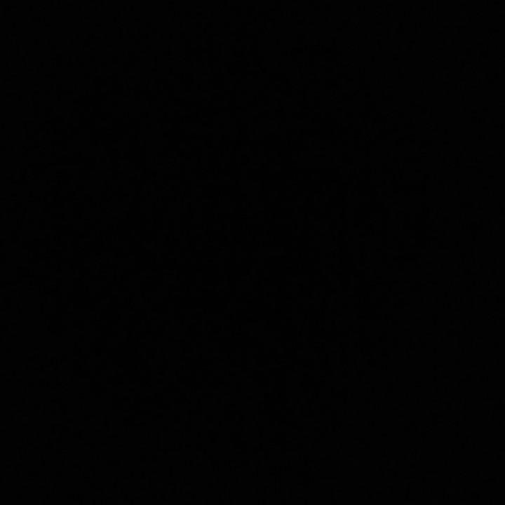 鲍店新疆大盘鸡8472860