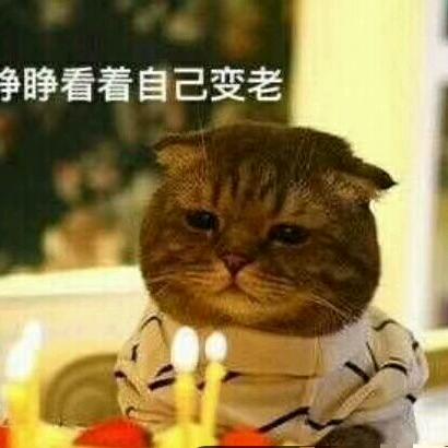 风华绝代