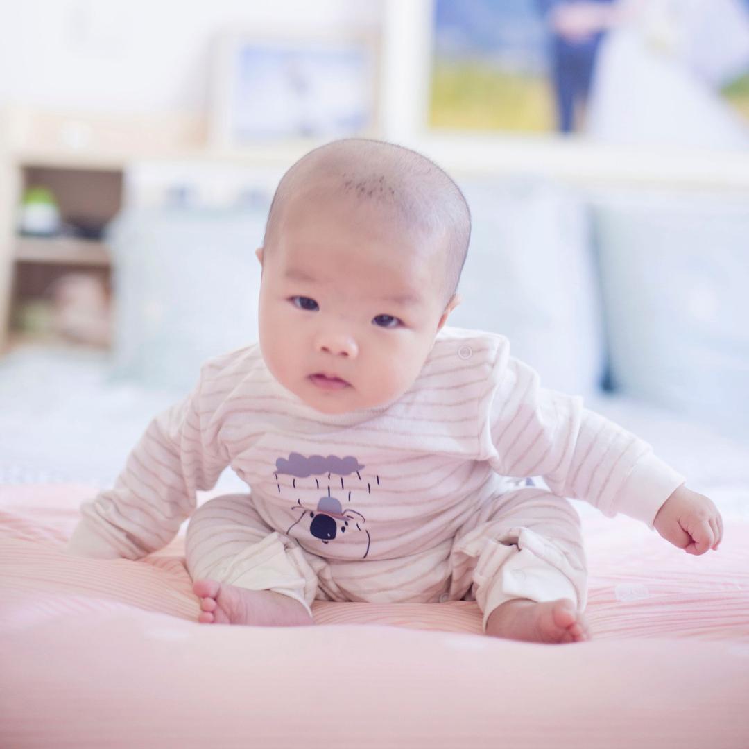 诗涵小狗🐶……