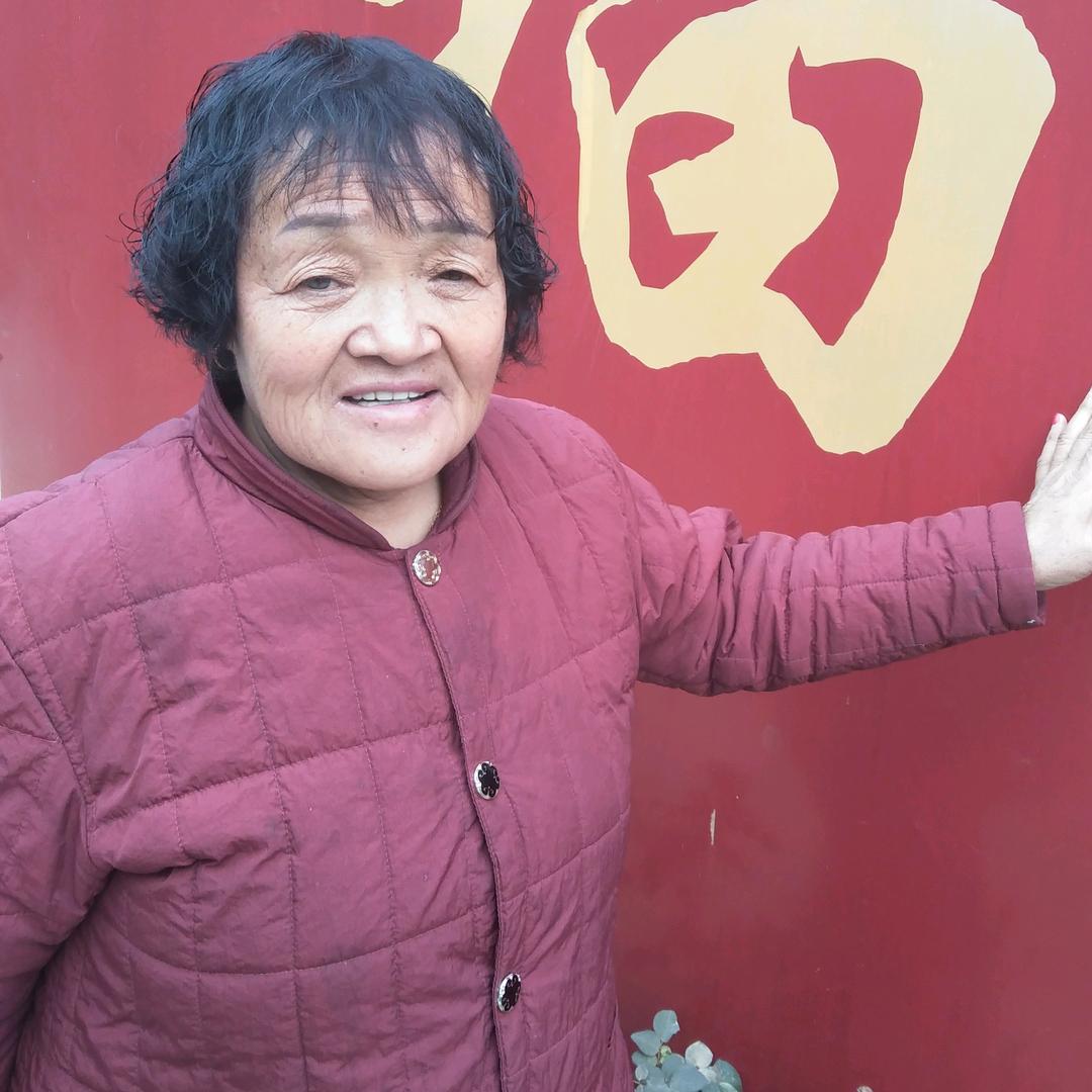 油菜花