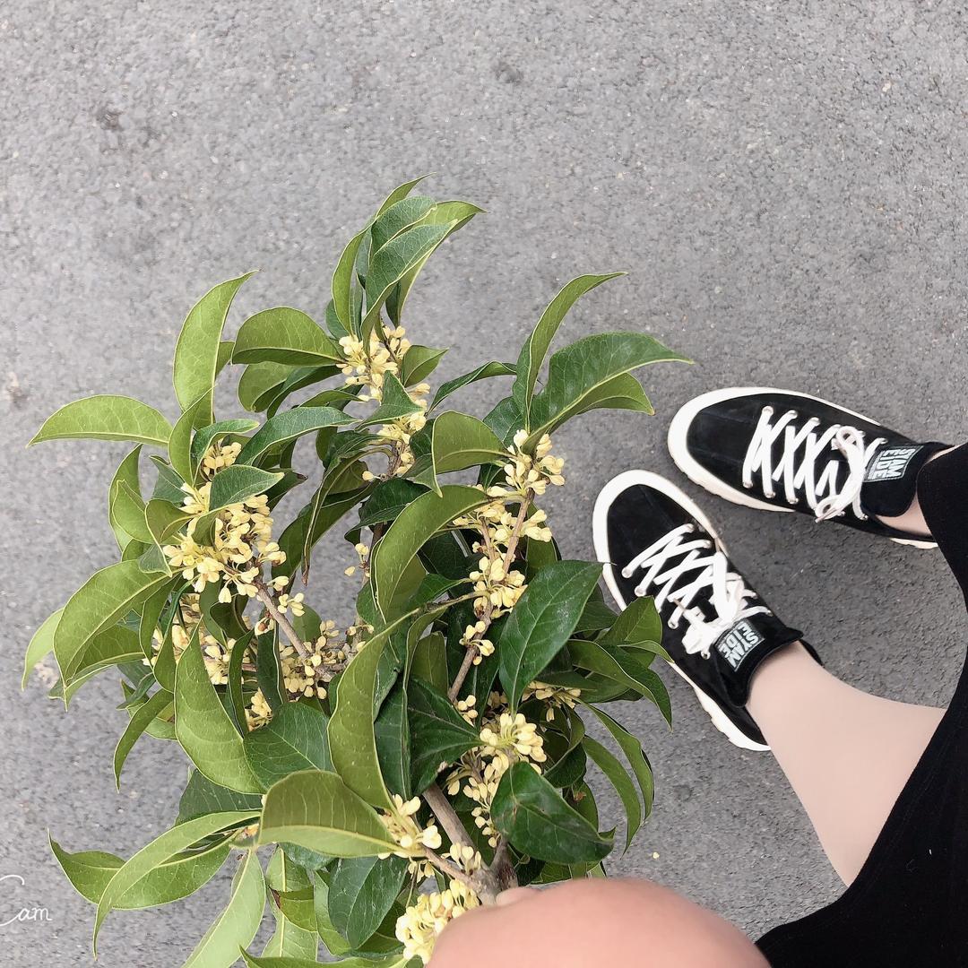 嗨…童童（一朵母单花🌹🤣）