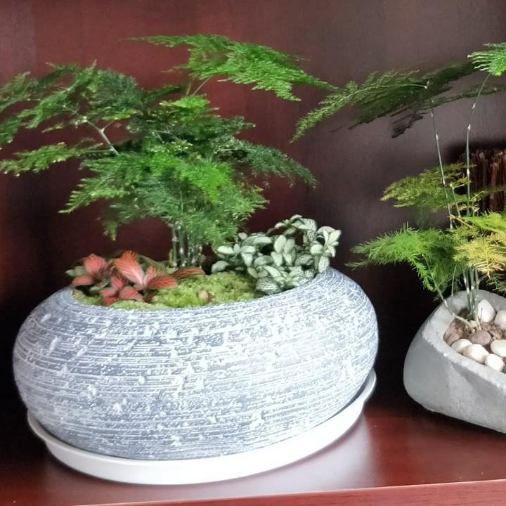 时光中有你