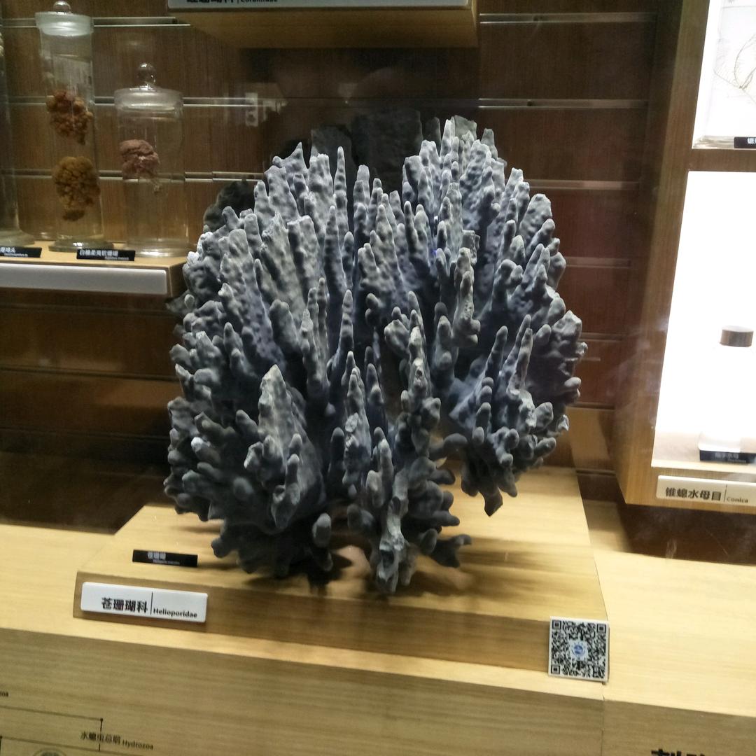 任性的橡皮筋