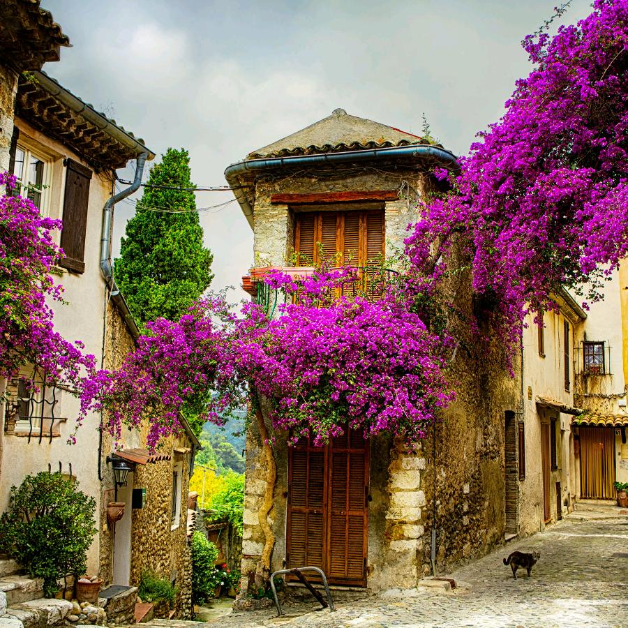 天长老鹅熟食店