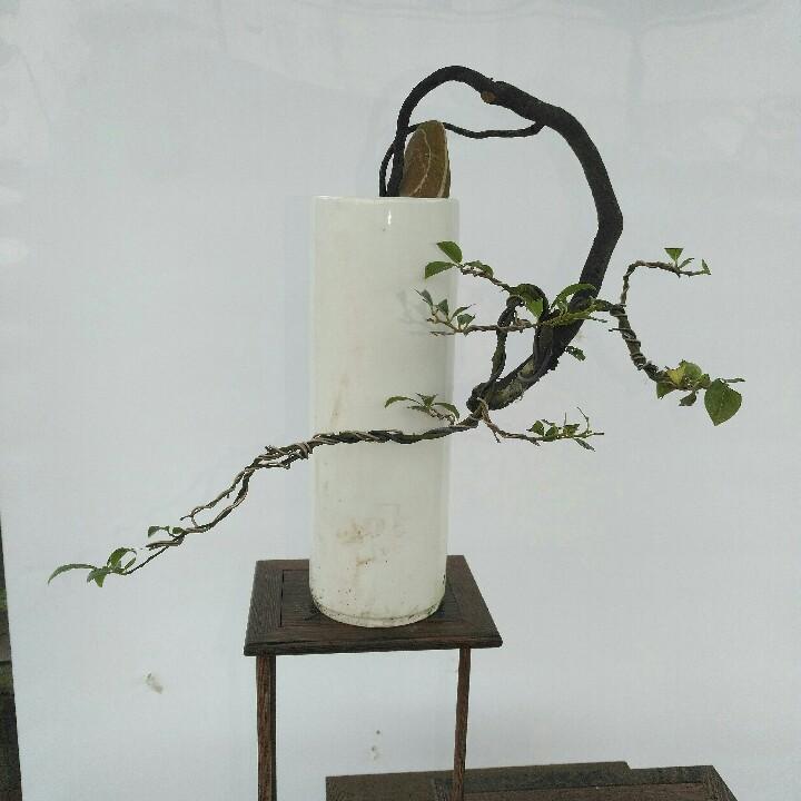 阳光