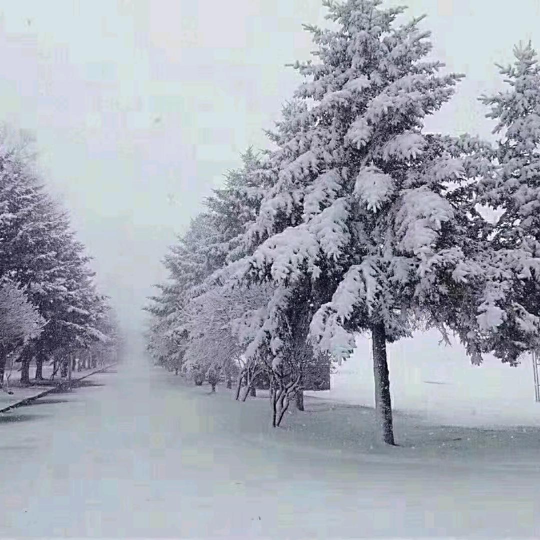 一缕阳光