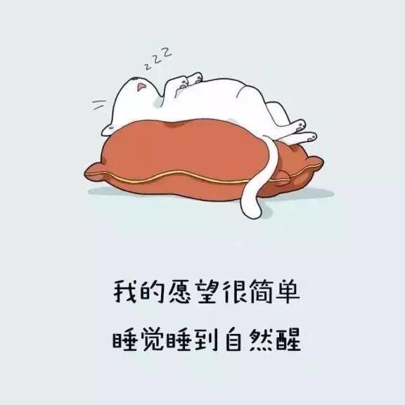 毛球球